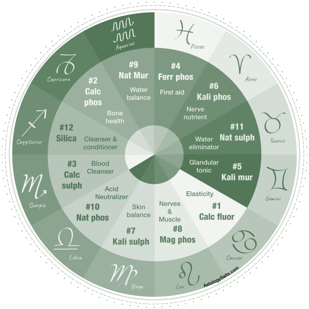 Astrology Salts Wheel